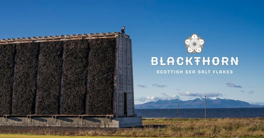 Blackthorn Sea Salt – Wind, Meer und Dornen: So schmeckt Schottland