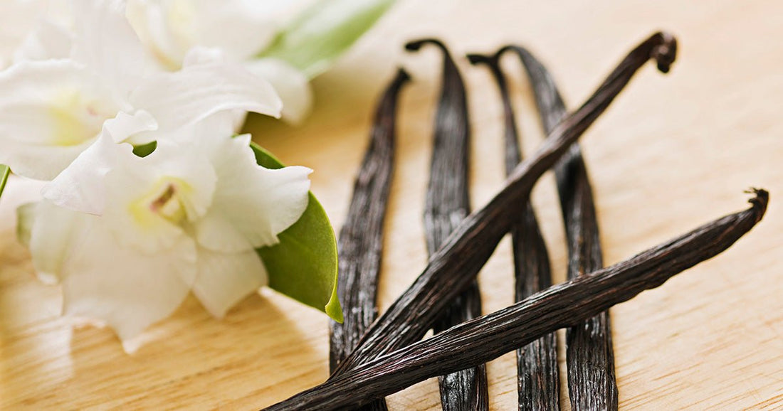 Die Crème de la Crème - Warum ist Madagaskar Bourbon Vanille so lecker?