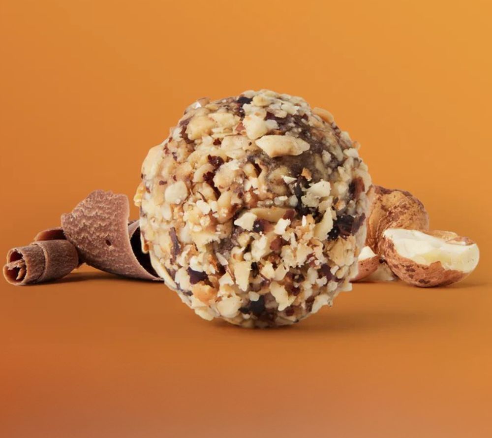 Dark Chocolate Hazelnut Bites kaufen – Nüsse & Schokolade in proteinreichem, veganem Snack. Glutenfrei & köstlich bei Ryan’s Specialties.