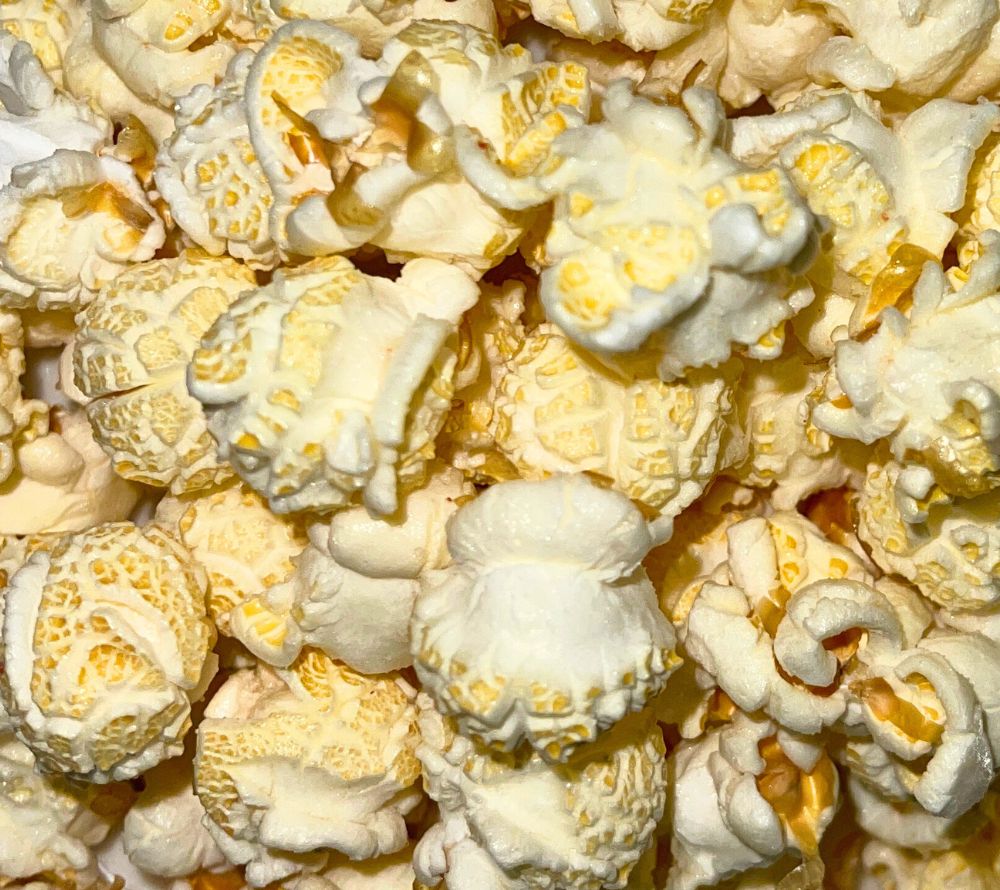 Everly Grace Popcorn Pink Salt Retreat