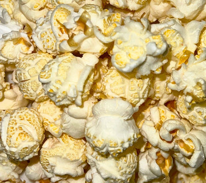 Everly Grace Popcorn Pink Salt Retreat